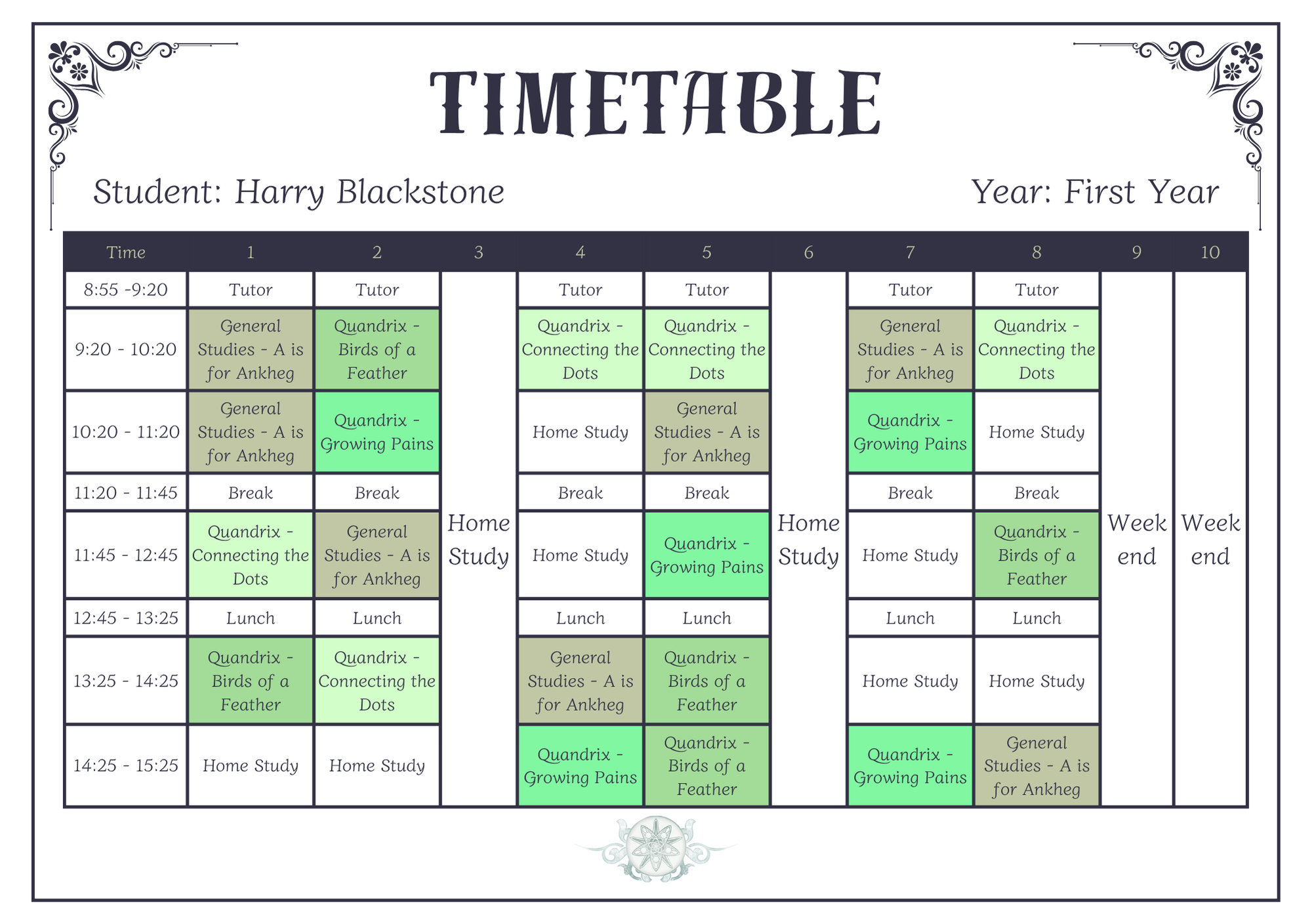 First Year Timetable - Ross.png